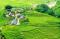 banner-image